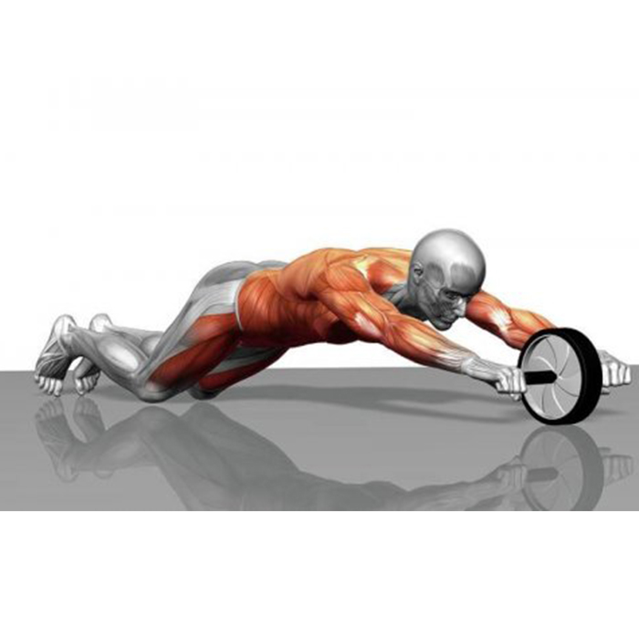 AbTrainer, koło treningowe z wyściełanymi uchwytami - Image 9
