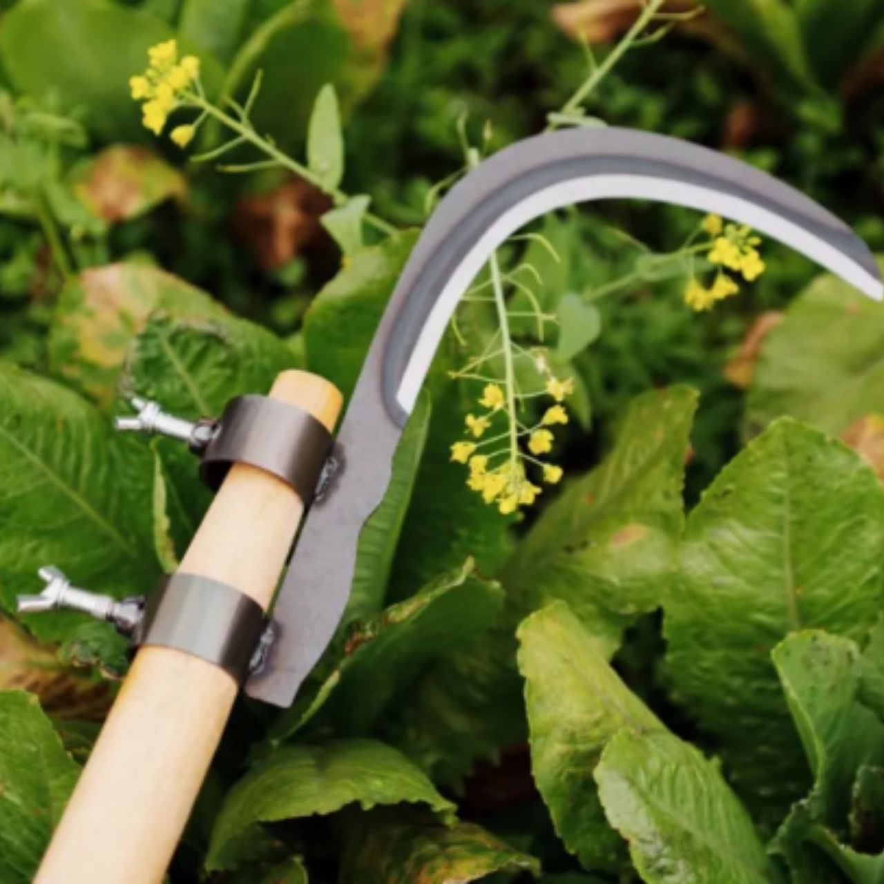AgroTool, narzędzie do cięcia gałęzi, chwastów, cierni i roślinności - Image 5