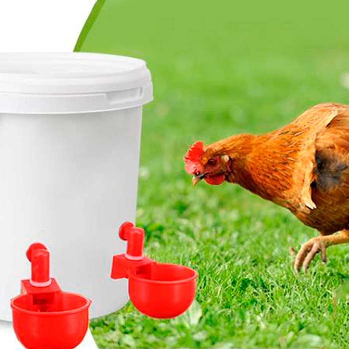 ChickenBowl, poidło dla kur i innego drobiu (6 sztuk) - Image 8
