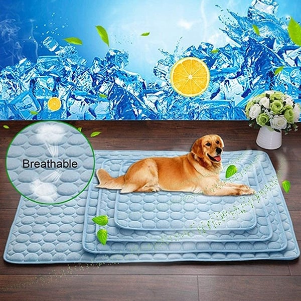 CoolingMat, mata chłodząca dla psów - Image 9