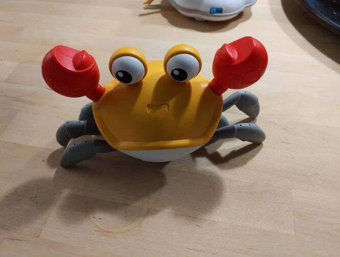 CrawlingCrab, interaktywny krab, który porusza się, gdy się do niego zbliżasz