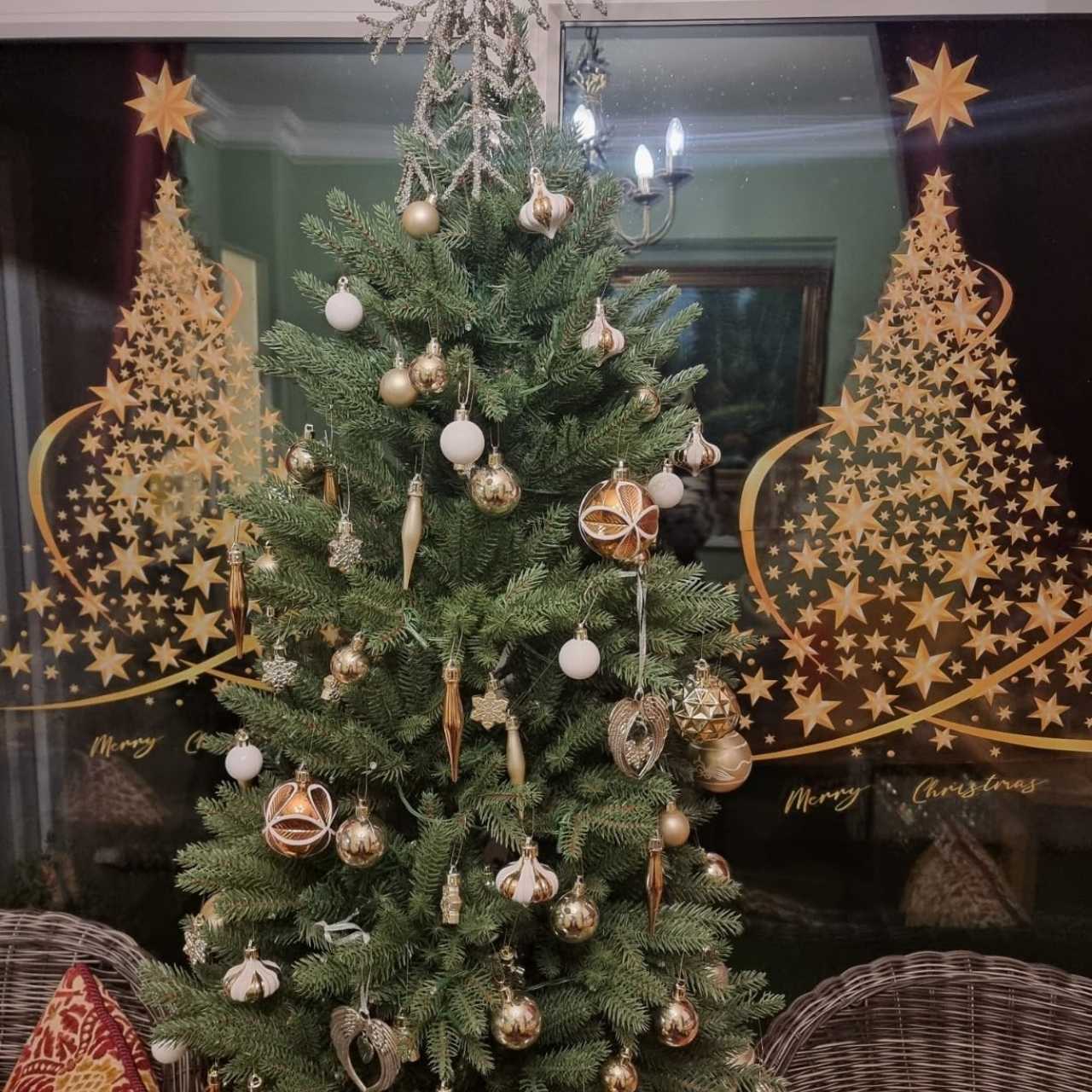 Idealne do każdej przestrzeni, od domu po salon