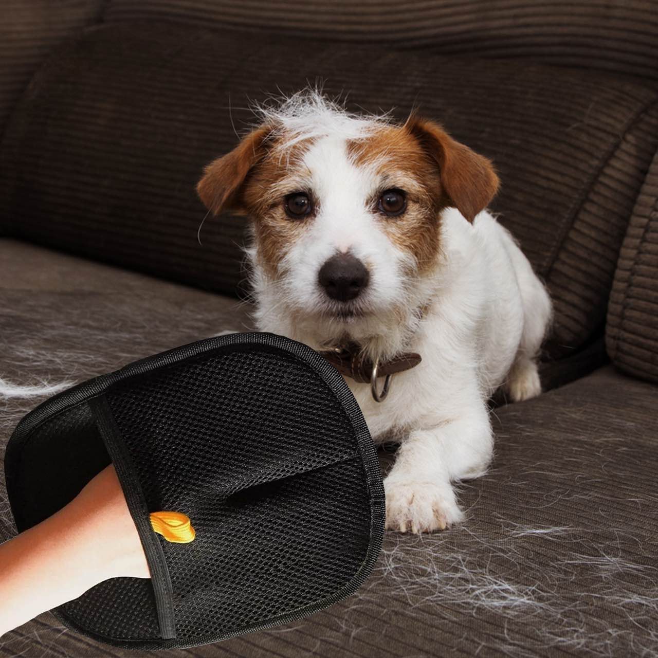 GroomyGlove, podwójnie stronny rękawica do pielęgnacji zwierząt - Image 8