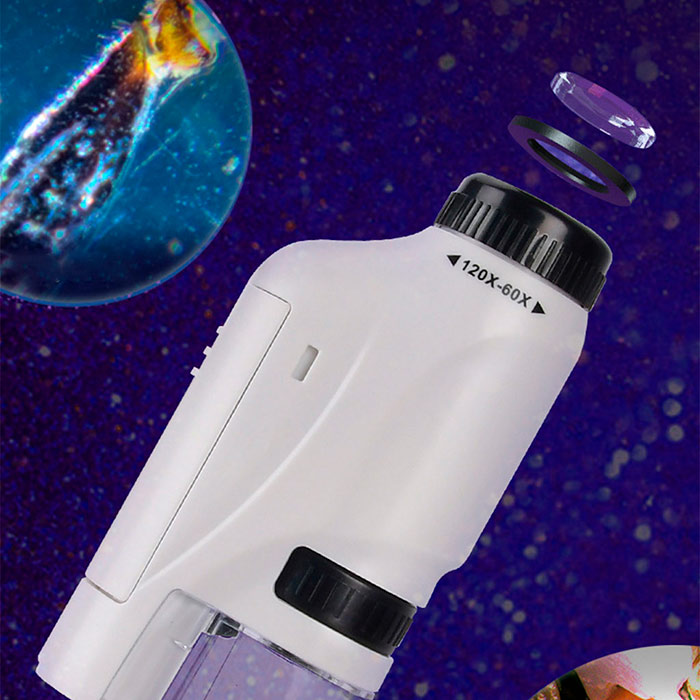 MicroscopeKit, przenośny mikroskop dla dzieci - Image 4