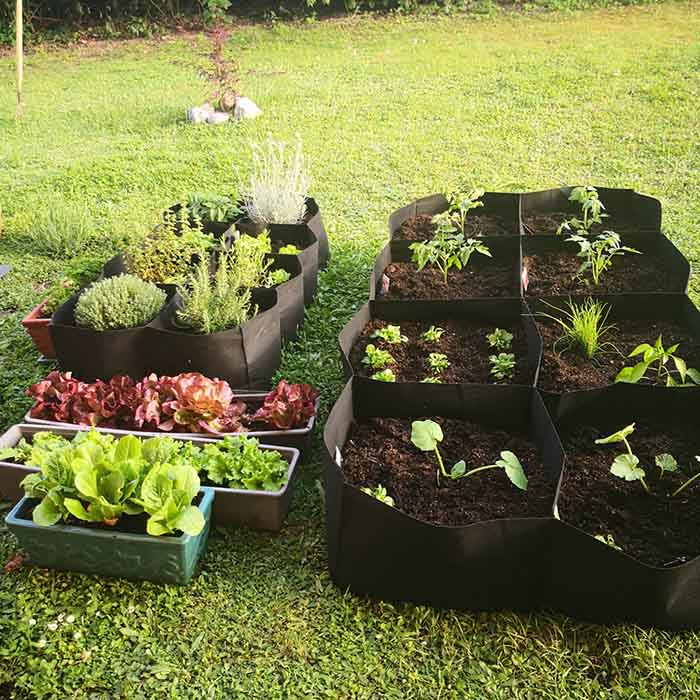 RaisedGarden, przenośne grządki ogrodowe z 8 oddzielnymi przegrodami - Image 4